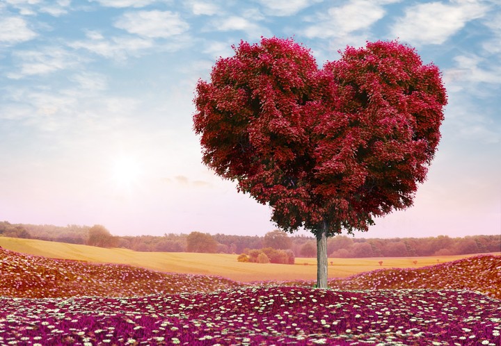 love