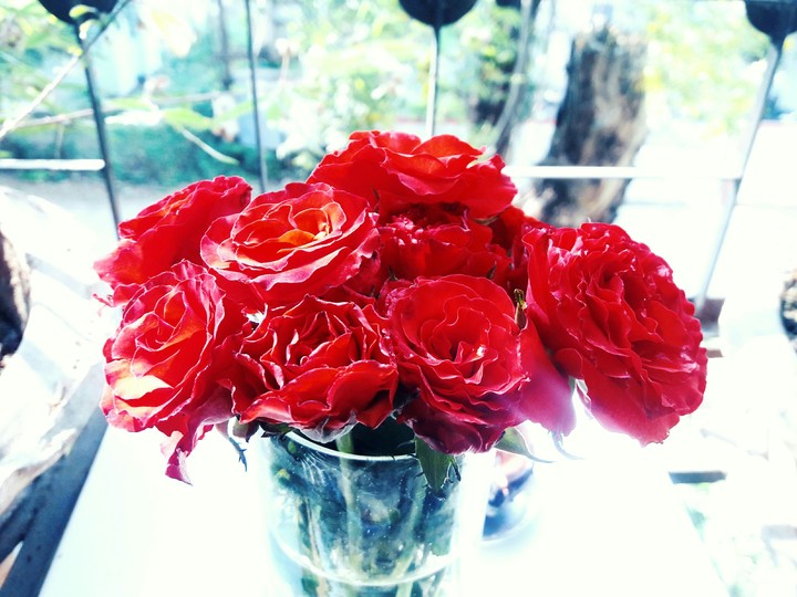 Red Red Red