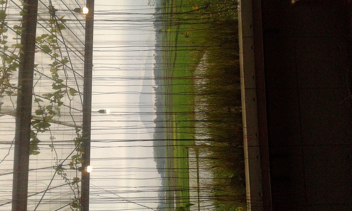 Arjuna Mountain,East Java-Indonesia