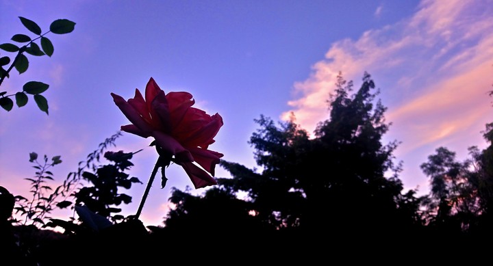 TARDE EN SAN LORENZO, GRO.