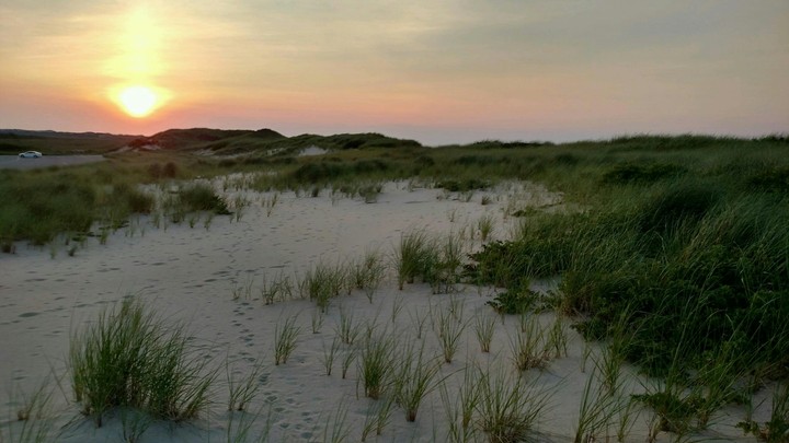 A Beach of Grass and Sand