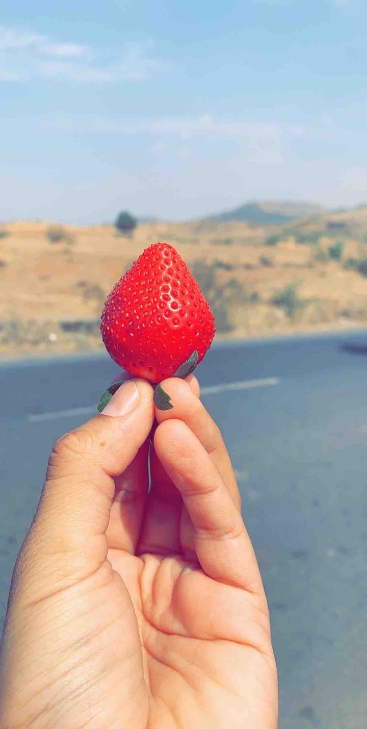 Strawberry