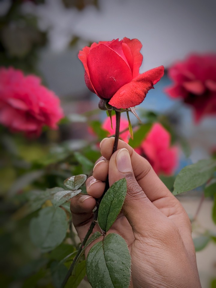 For you dear s❤️
