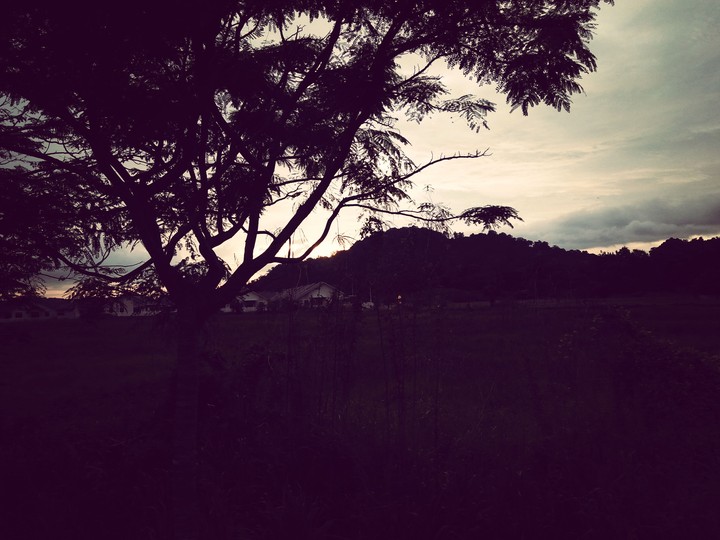 dawn