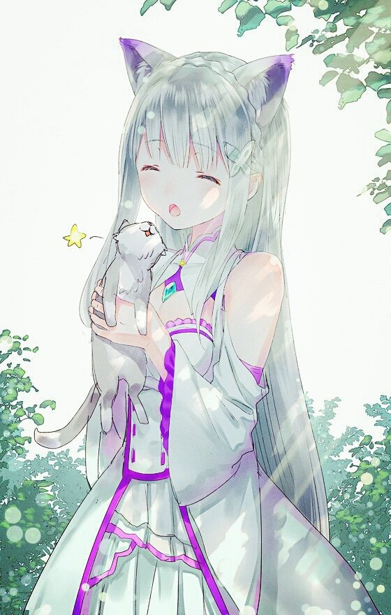 かわいい猫