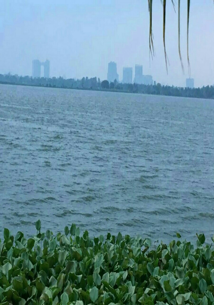 Energetic place