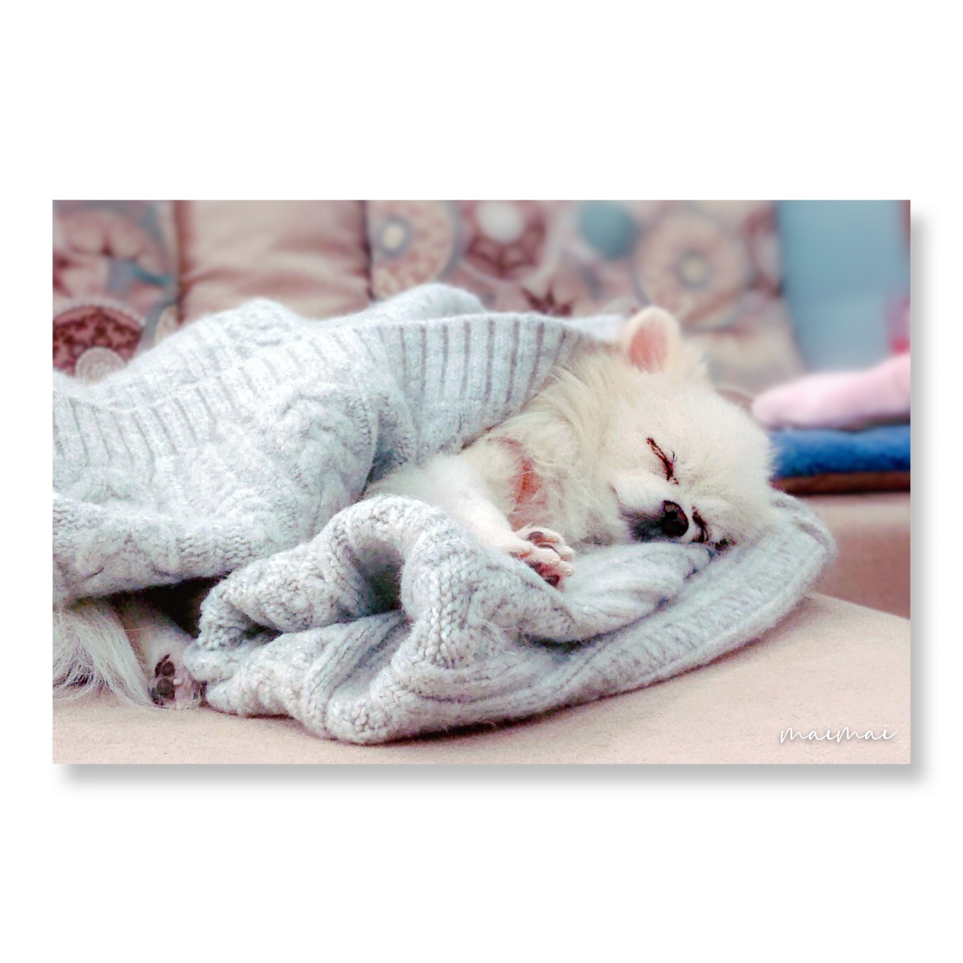 ✨✨ɢᵒᵒᵈ ɴⁱᵍʰᵗ✧*̣̩⋆̩☽⋆ ❤
