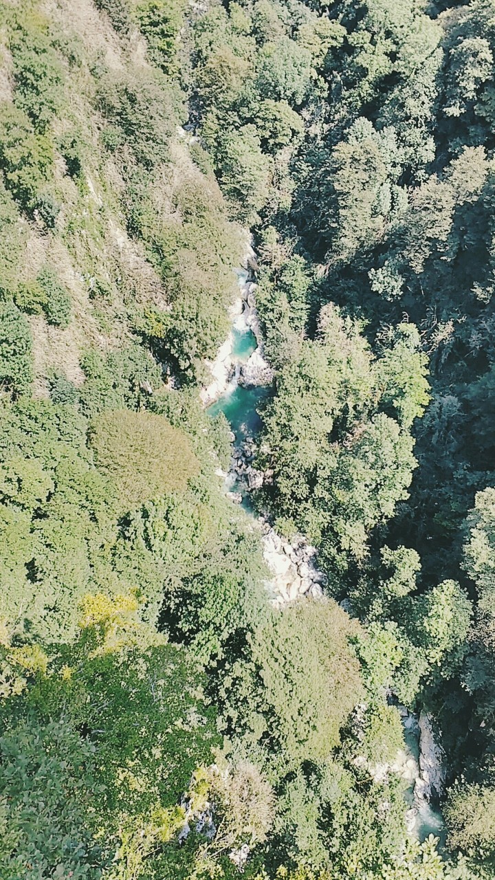 nature at his best.