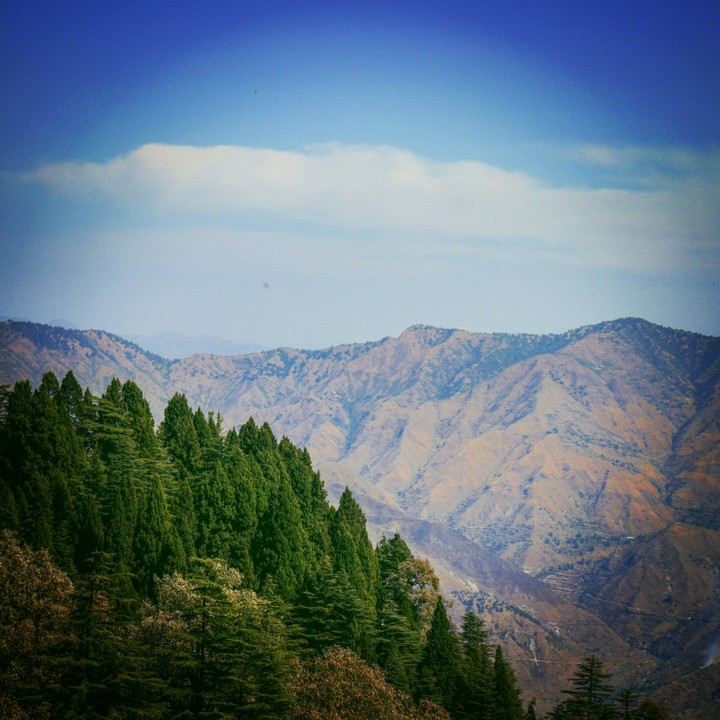 Green valley