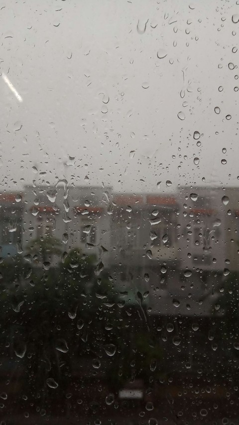 Rain
