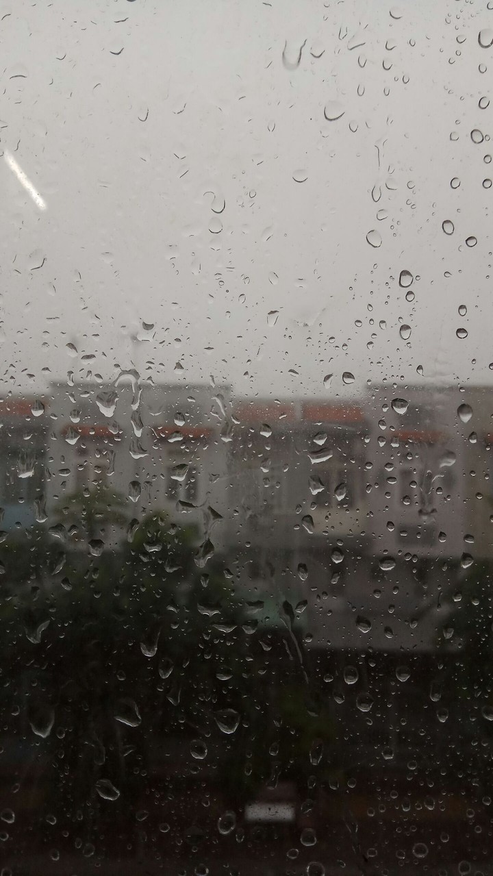 Rain
