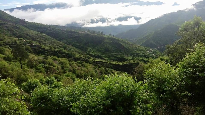 Nature beauty