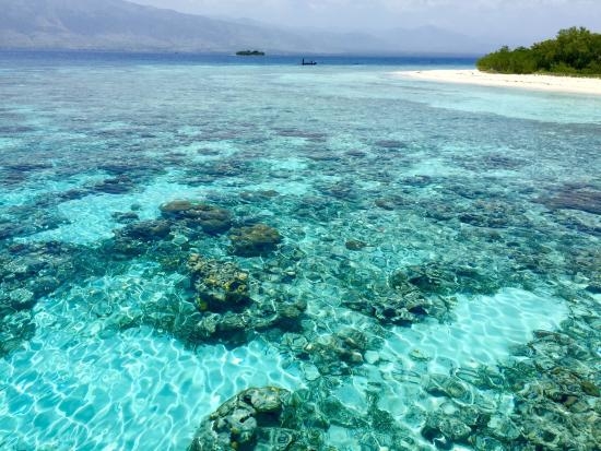 Haïti Waters