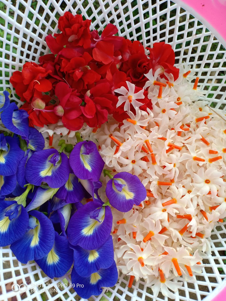 flowers
