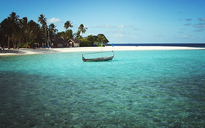 The Boat In The Water