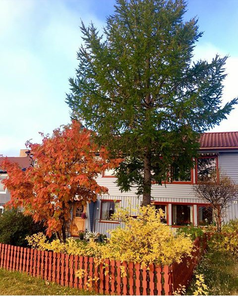 Autumn