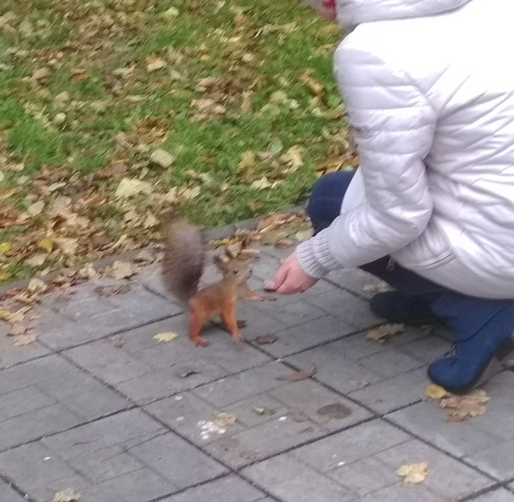 привет!