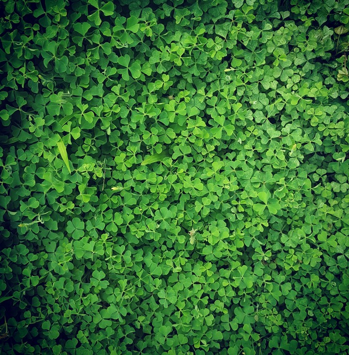 the natures natural colour