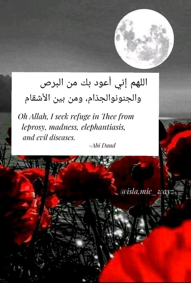 Islamic quotes