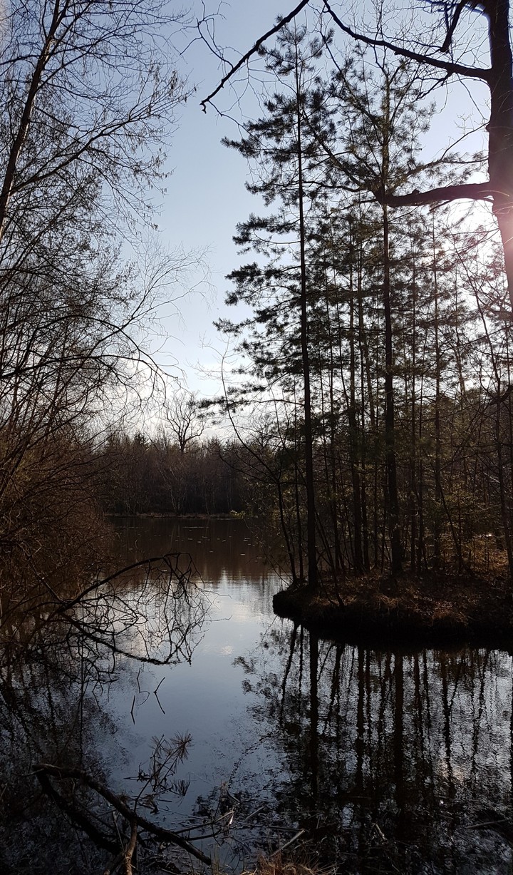 Natur4