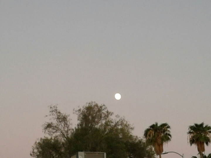 A Strange Moon