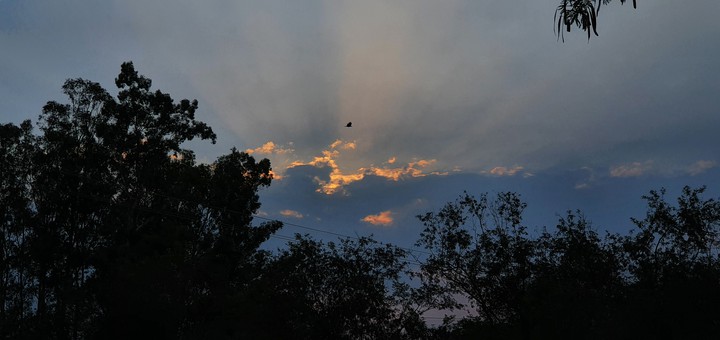 Dawn