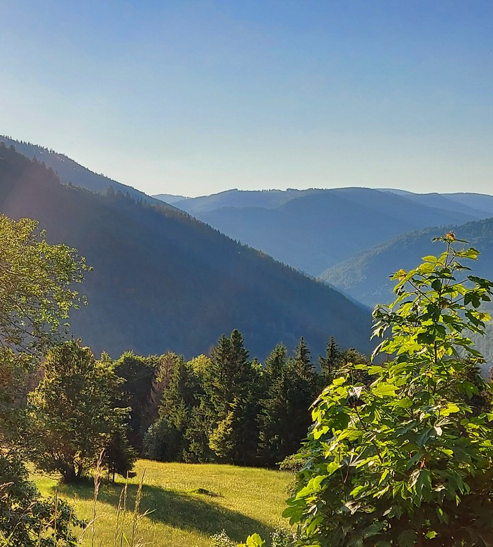 weite Ferne Schwarzwald