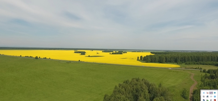 field