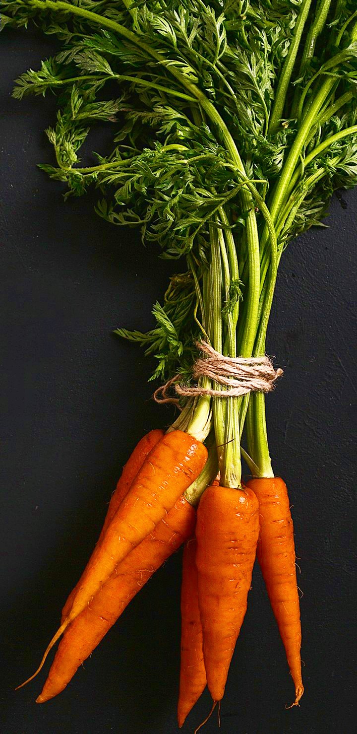 Carrot