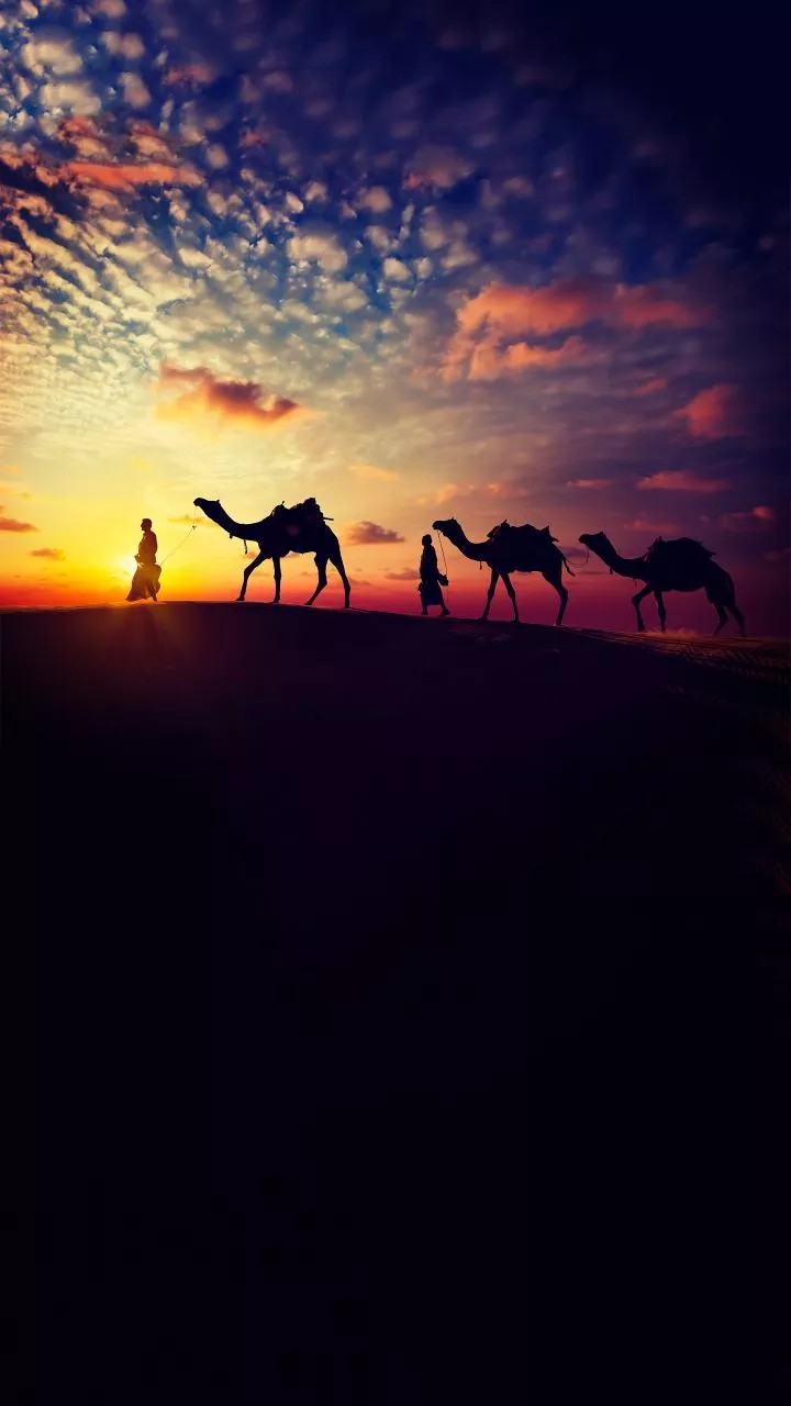 Rajasthan INDIA