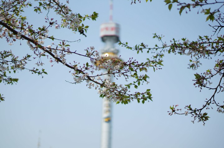 Tower in seoul