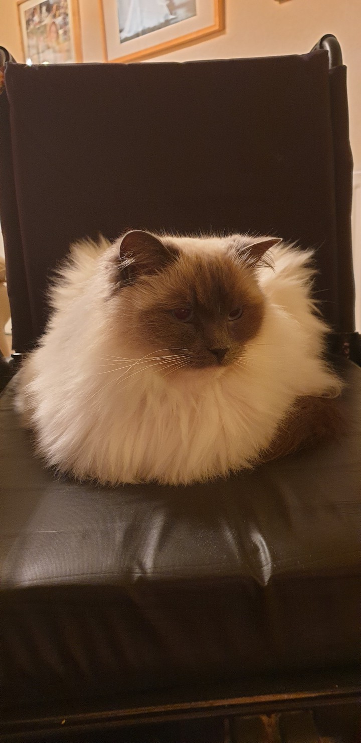 I think you've taken my chair!!!