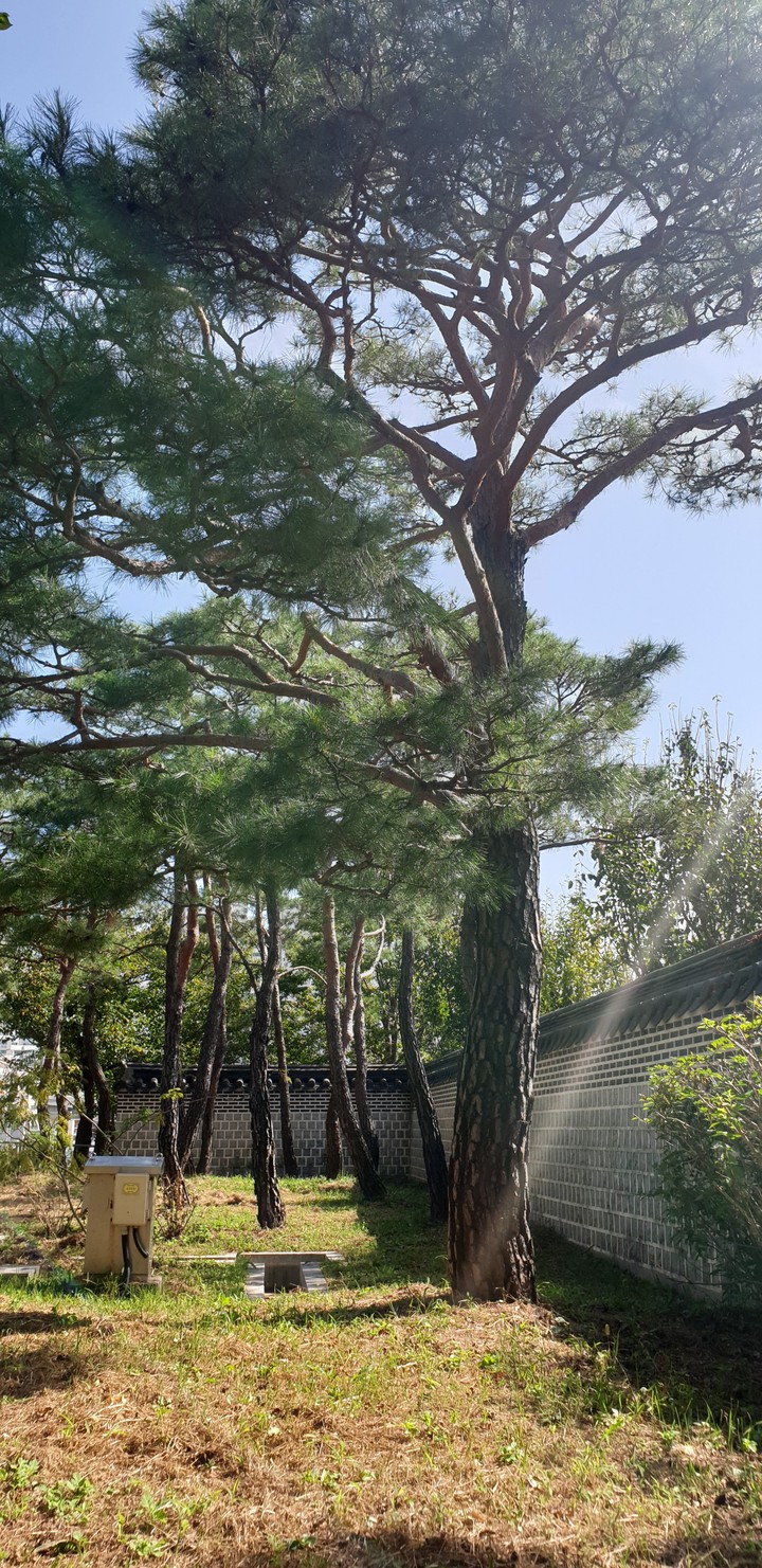 nature