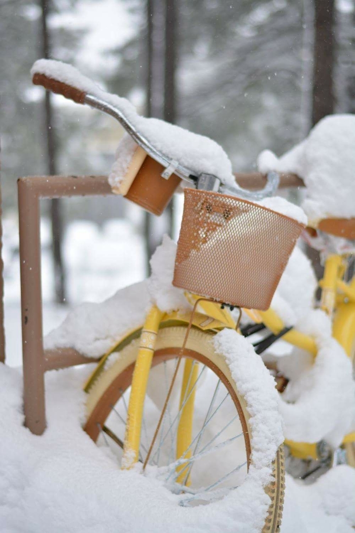 Yellow Bike in the Snow
