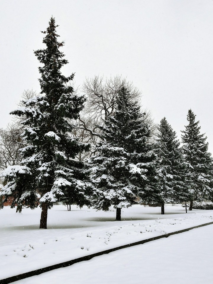 My winter