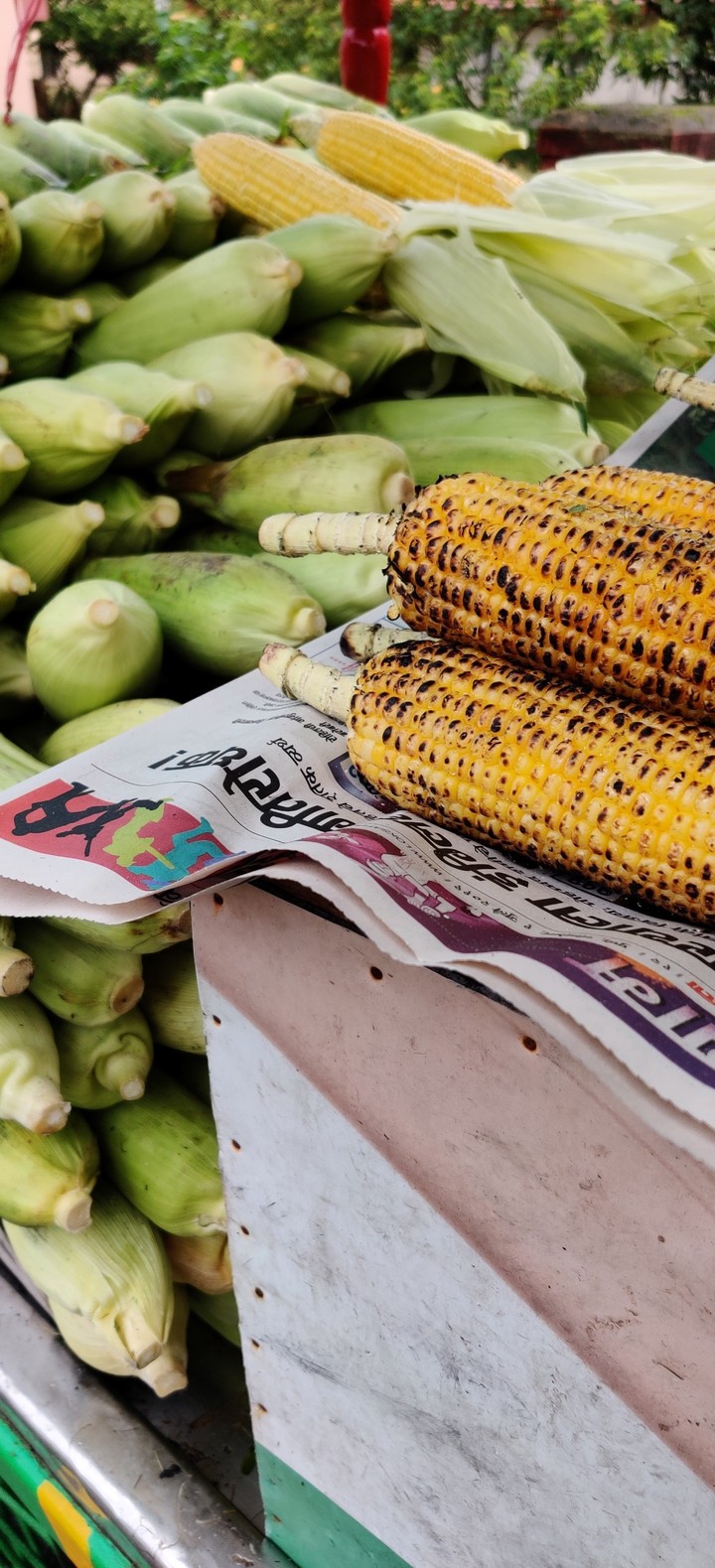 corn