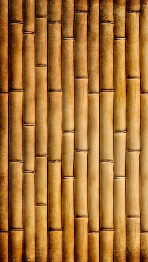cane, Bamboo wallpapers
