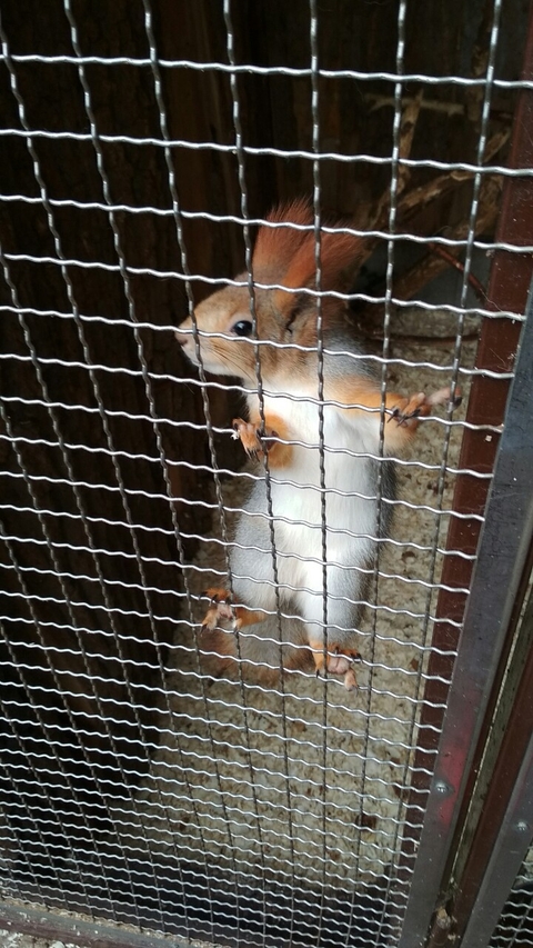 zoo