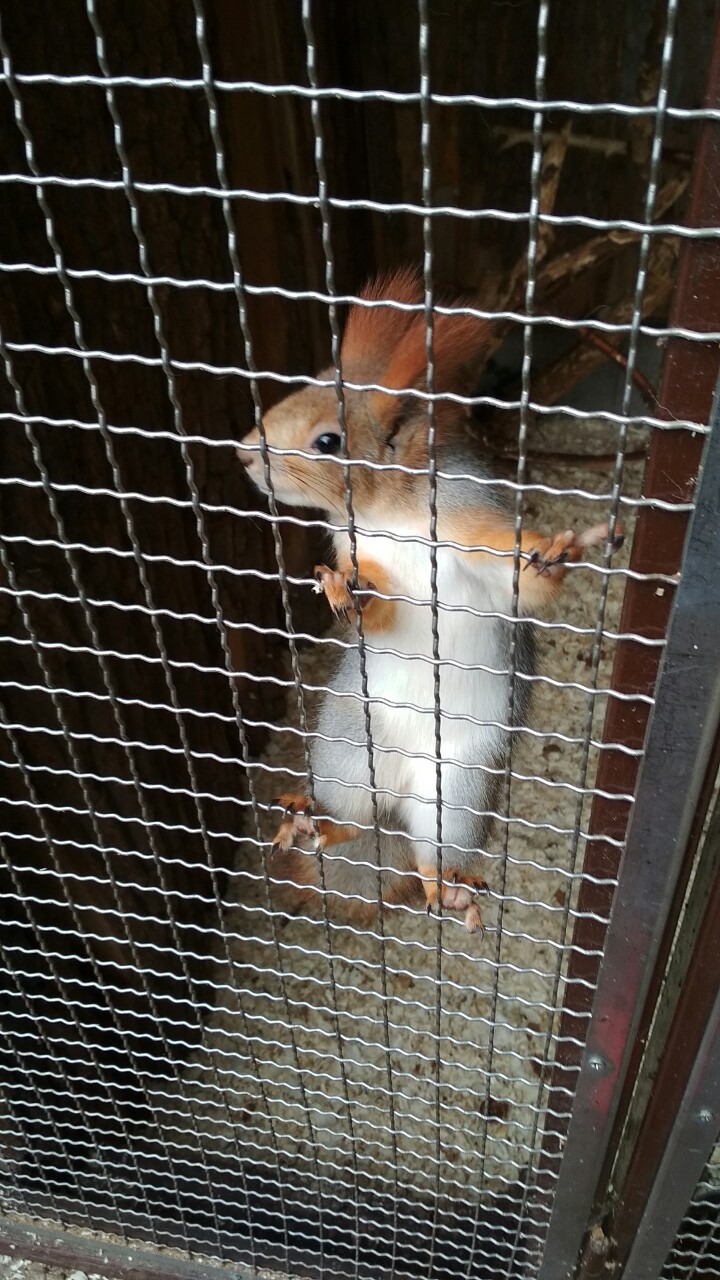zoo