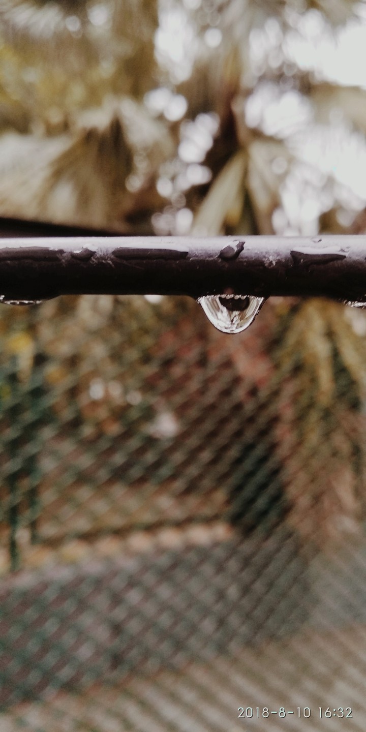 drop