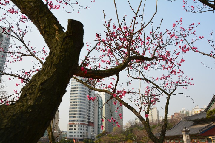 풍경이미지