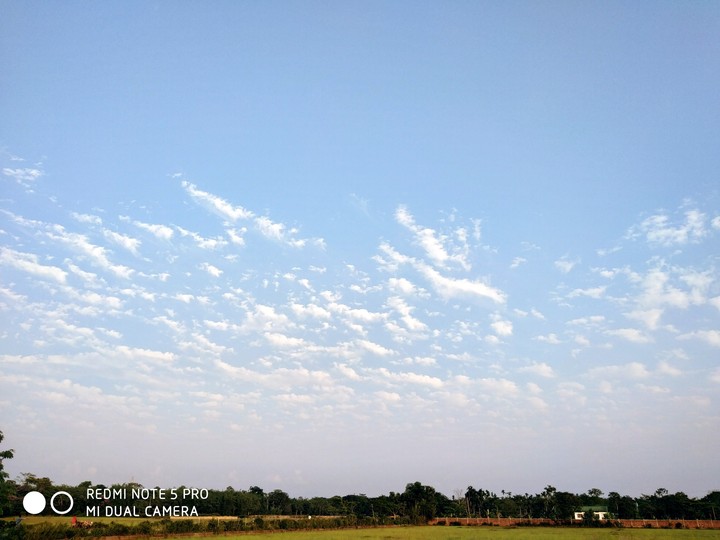 blue sky