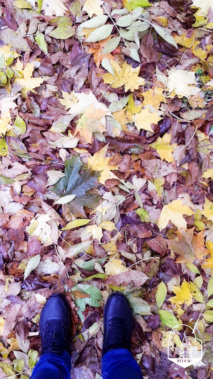 Saint-Petersburg's autumn