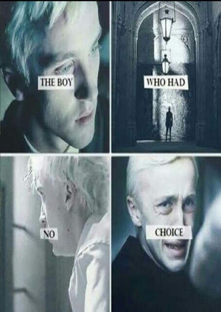 Draco malfoy ( tom felton )