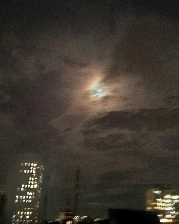 moonlight