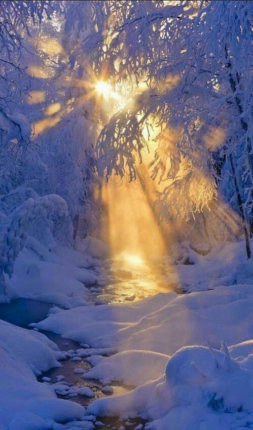 winter sun