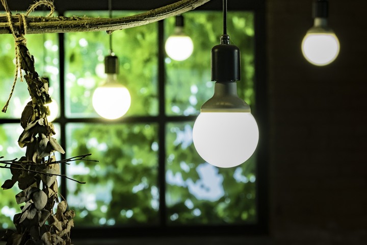Emotional space with green plants and free windows