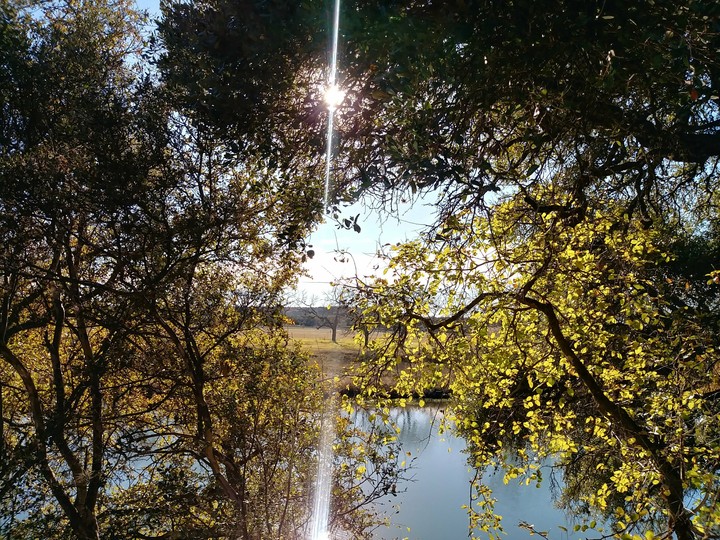 sunny pond