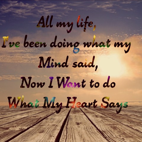 heart always has the answer