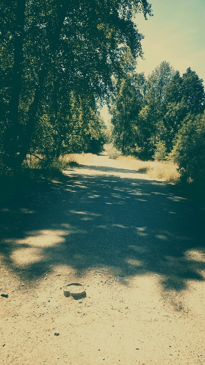 Trail